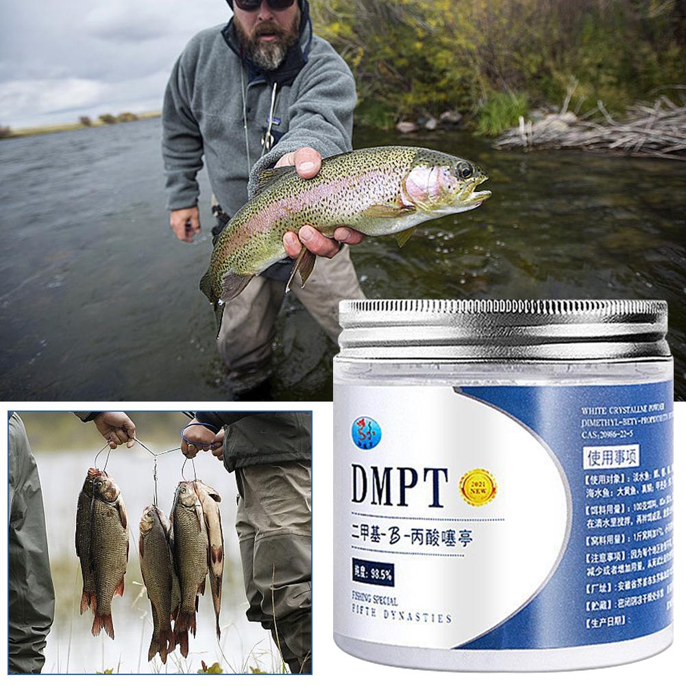 Fishing Equipment Market - 50g asli DMPT kemurnian tinggi memancing