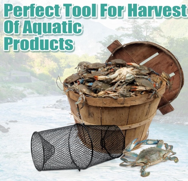 Perangkap Udang Karang Logam P - Fishing Equipment Market ulasan dan harga