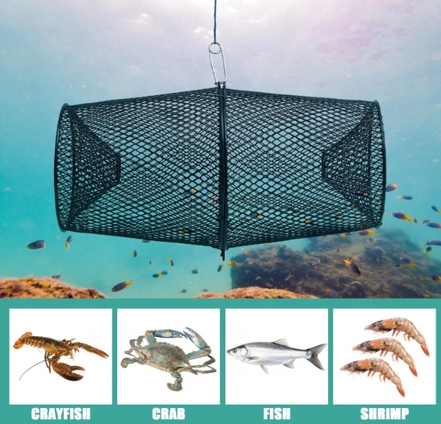 Perangkap Udang Karang Logam P - Fishing Equipment Market ulasan dan harga