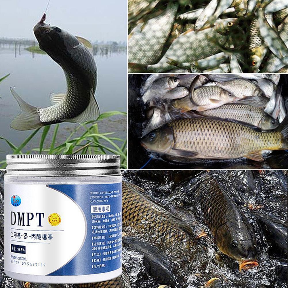 50g asli DMPT kemurnian tinggi - Fishing Equipment Market ulasan dan harga